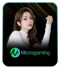 Microgaming