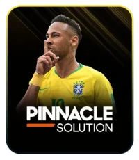 Pinnacle Solution